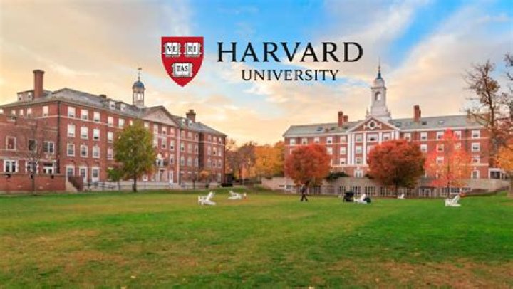 Cursos gratis en línea y en español de las universidades de EE.UU.