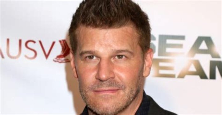 How David Boreanaz Achieved a Net Worth of $30 Million