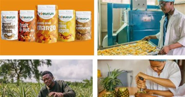 Nigerian whole fruit snack brand ReelFruit secures $3million in funding