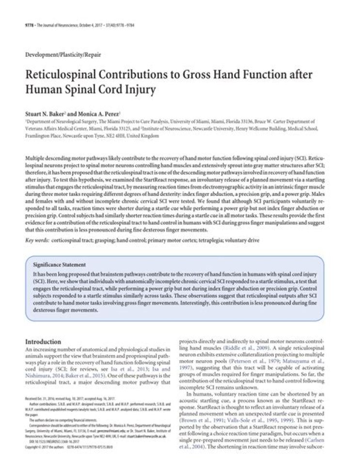 Reticulospinal Contributions to Gross Hand Function after Human Spinal Cord Injury - ePrints