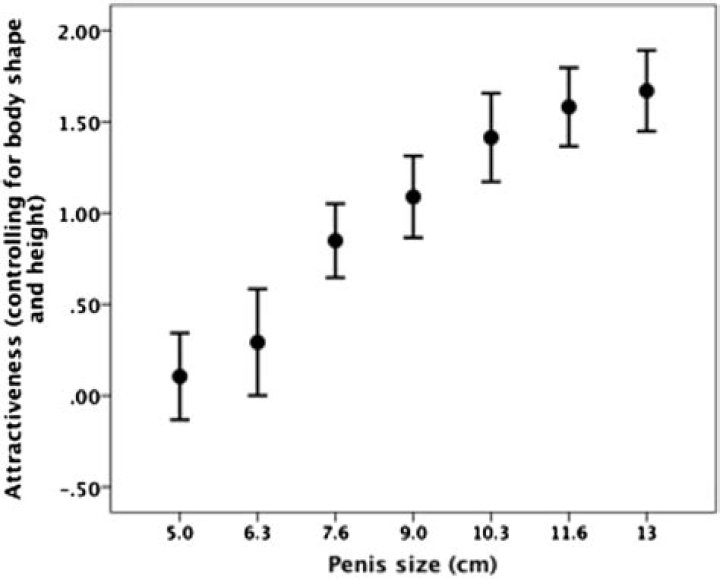 Size Does Matter: Study Shows Women Judge Male Attractiveness by Penis Size